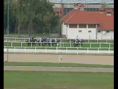 El Dorado - St. Leger Hungary 2800m - 2015