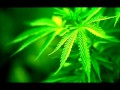 Гуф и Нагано КаНаБис Гуф и Нагано КаНаБис