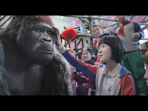 Mr  Go   Official Trailer HD