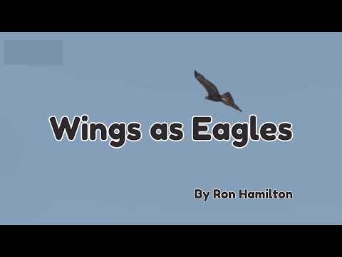 Wings as Eagles Lyrics - Patch the Pirate
