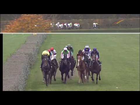 Herzog von Ratibor Rennen 2016   Gruppe 3