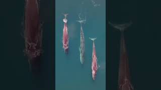 Baja’s beauty isn’t just in the landscapes