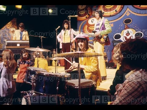 CHICORY TIP WHAT'S YOUR NAME TOTP