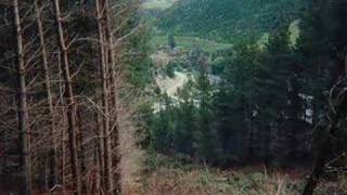 Jackal Lumberjack Video