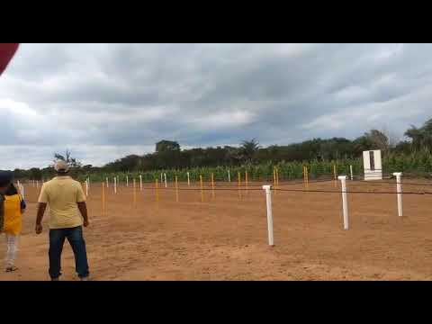 1° Páreo Classificatório do GP BIG SPEED Em VÁRZEA DA ROÇA 27/07/2019.