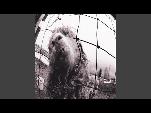 Rearview Mirror - Pearl Jam
