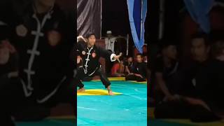 Download lagu PSHT X IKSPI X PAGAR NUSA || guyup rukun #budaya #pencaksilat #tradisi #silat #beladiri #fkmabes mp3