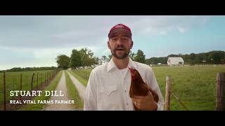 Bullsh*t Free Eggs | The Difference Between Pasture Raised And Cage Free Eggs