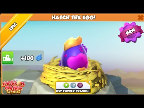 Epic Egg Hatching! Pansy Flower Dragon - Gameplay - Dragon Mania Legends