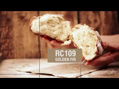 KRAFT Paints - Colors of Greece - Vartholomio Ilia