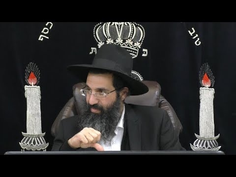 הלכות שבת - קעה' - הכנת מאכל לבהמה 🐄 משנה ברורה סימן שכד | חלק 589 | הרב שי עובד