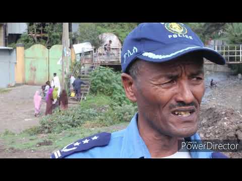 የትውልድ አሜከላ