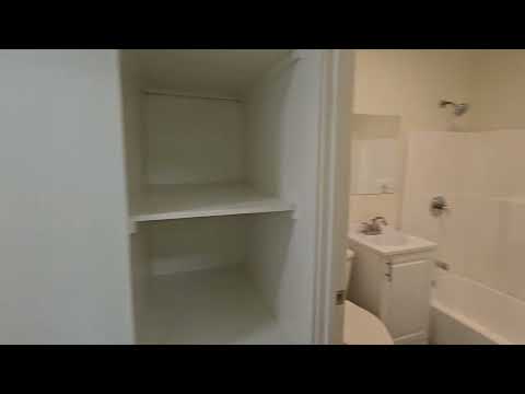 Pine - Video 2 of 2