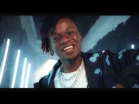 Brizz Aviour - Working (Official Video)