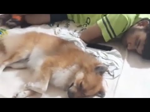 Cherry & Sushrut r they realy studying !!!! 😱