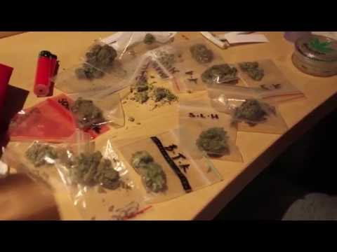 Shockz - differences {Music Video} @officialshockss