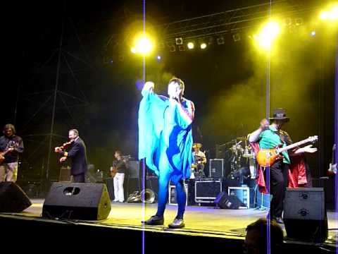 emir kusturica & the no smoking orchestra - unza unza time (sporting viña del mar)