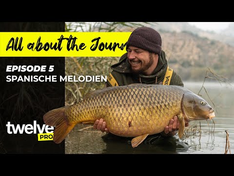 Carplifer - All about the Journey - Episode #4 | Frankreich | Roadtrip | Stauseeangeln | Big-Fish