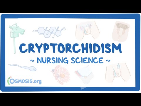 Influenza Clinical Nursing Care