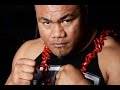 DAVID TUA Highlights Knockouts