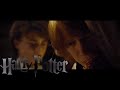 Harry Potter I Smell Like My Great Aunt Tessie Multilanguage
