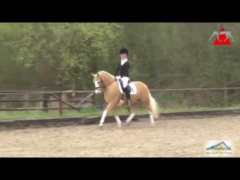 Merlin 9j. Wallach v. The Breas my Mobility / Seven Mountain Natan