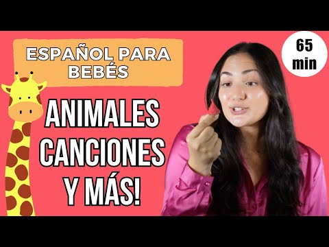 Spanish baby learning 10 - Español para bebés con Señorita Yasmín - Animals, songs & more!