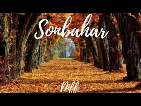 Diff - Sonbahar