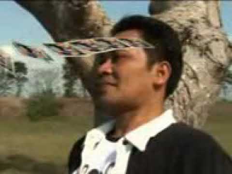 Bugis populer Elo tomatoa iwan s