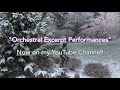 Announcement | “Orchestral Excerpt Performances"