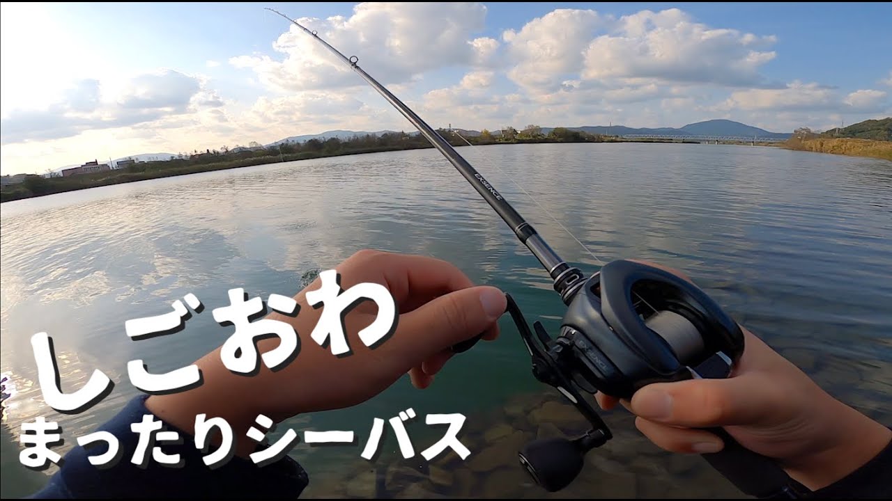 仕事終わりのベイトシーバス。渋かったケドなんとか70UP 編【リバーシーバス】