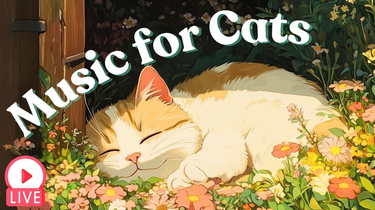 🔴[LIVE] Soothing Pet Sleep Music to Calm Your Cat 🎵 Deep Sleep Cat Therapy Music