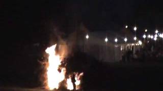 2/2 DNA analysis: Pharaohs hide in Switzerland - their Utopia.