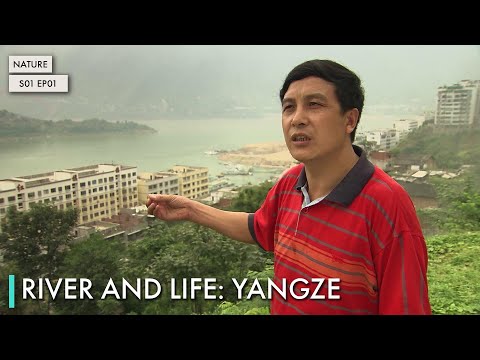 River and Life: Yangze