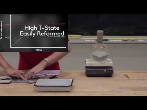 Physics of Shape Memory Alloys