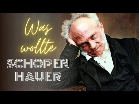 Was wollte Schopenhauer? - YouTube