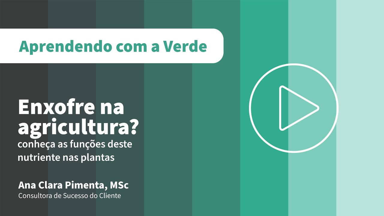 Qual é a função do enxofre na planta?