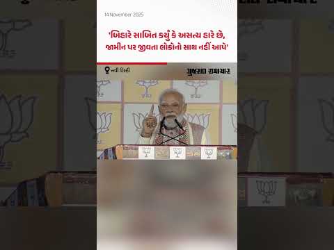 PM Narendra Modi on NDA's victory : બિહારે આજે સાબિત કરી દીધું કે લોકો અસત્યને હરાવે છે