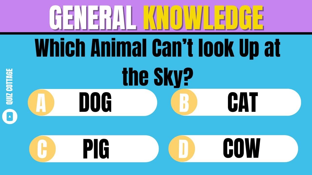 How Good Is Your General Knowledge? Take This 30-question Quiz To Find Out! #challenge 8