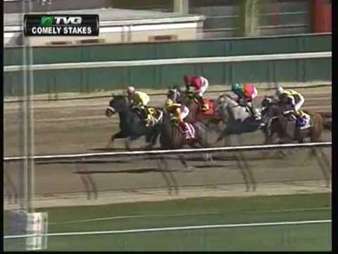 2012 Comely Stakes - Broadway's Alibi