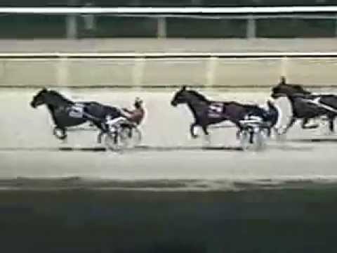 1994 Breeders Crown 2yo C&G Pace Jenna's Beach Boy