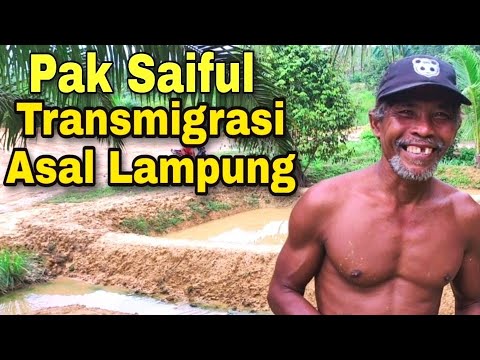 Pak Saiful transmigrasi asal Lampung || tahun 2007