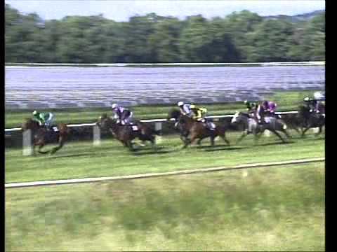 Galopprennbahn Dresden - 09.06.2012 - 5.Rennen