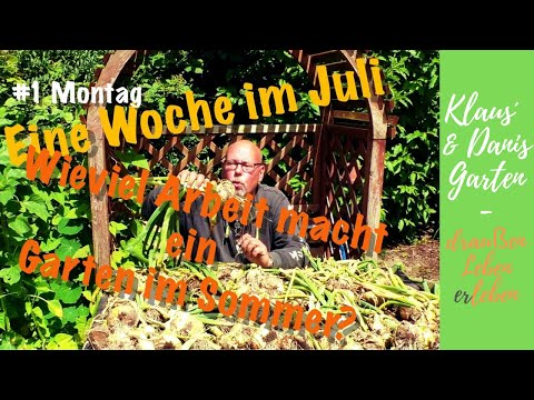 Eine Woche im Juli / Wieviel Arbeit macht ein Garten im Sommer / Teil 1: Montag