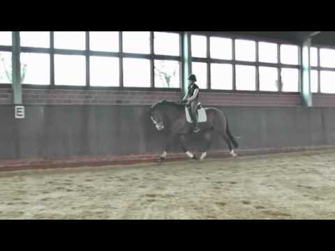 Laurentino v. Laurentio, geb. 2007