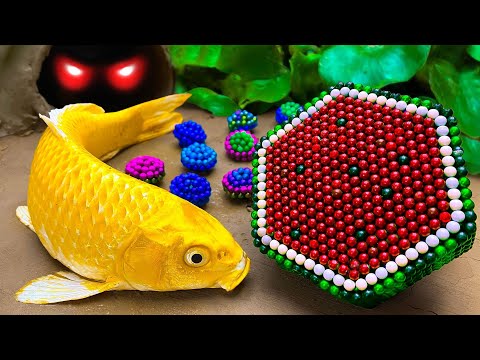 Abandoned Stop ASMR - Reds AQUARIUM Fish Octopus Frog Saving Petsmart eel in hole Magnet Cooking