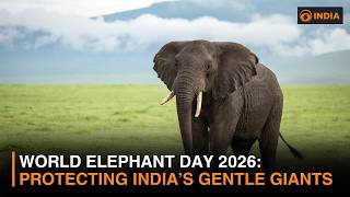 World Elephant Day 2026: India’s Elephant Corridors, Conservation Efforts & Fascinating Facts