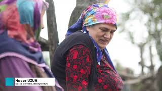 BİOTEM