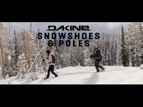 Introducing Dakine Snowshoes