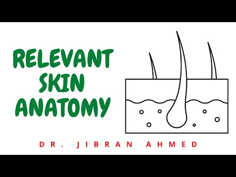 RELEVANT SKIN ANATOMY II ROBBINS 10TH E II SKIN II PATHOLOGY LECTURES II SYSTEMIC PATHOLOGY